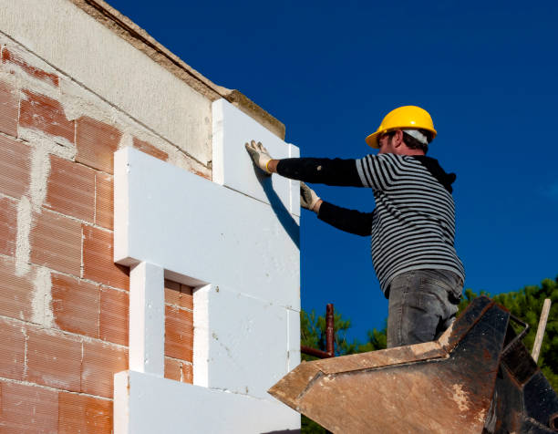 Best Insulation Maintenance and Repair in Glencoe, MN