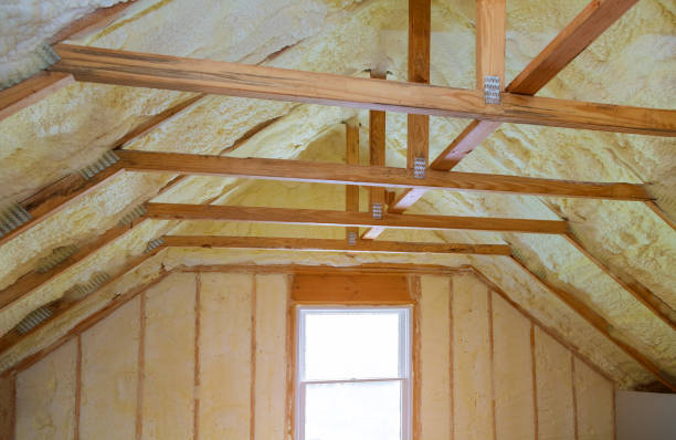 Best Commercial Insulation in Glencoe, MN