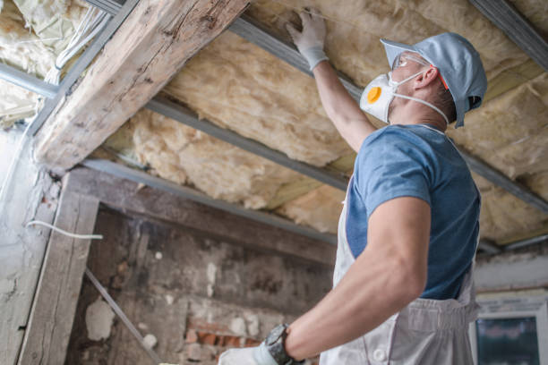 Best Insulation for Specific Applications in Glencoe, MN