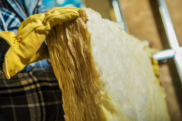 Best Specialty Insulation in Glencoe, MN
