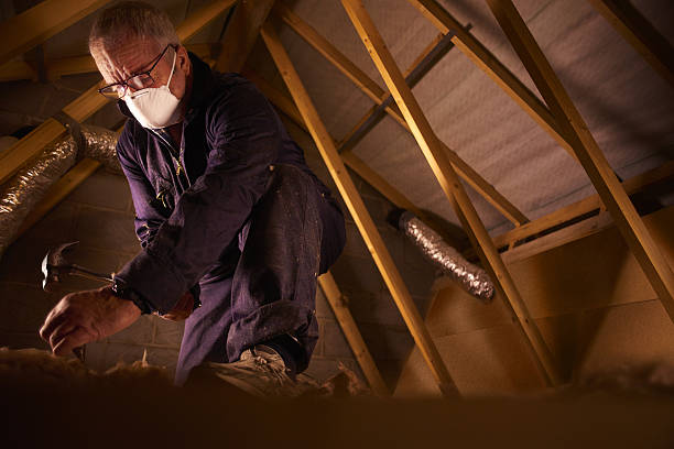 Best Insulation Materials and Products in Glencoe, MN